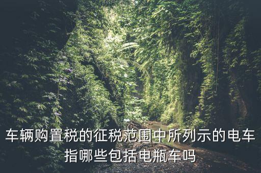 有軌電車(chē)征收什么稅，車(chē)輛購(gòu)置稅的征稅范圍中所列示的電車(chē)指哪些包括電瓶車(chē)嗎