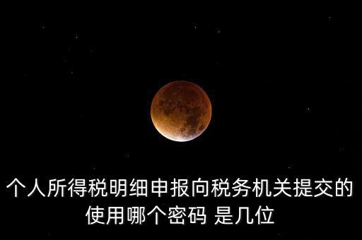 個人所得稅明細(xì)申報(bào)向稅務(wù)機(jī)關(guān)提交的使用哪個密碼 是幾位