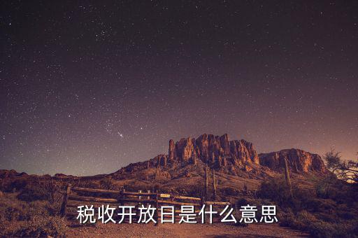 國稅開放日是什么意思，稅收開放日是什么意思
