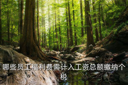 什么樣的福利費(fèi)要交個(gè)稅，什么樣的福利費(fèi)不需要交納個(gè)人所得稅呢