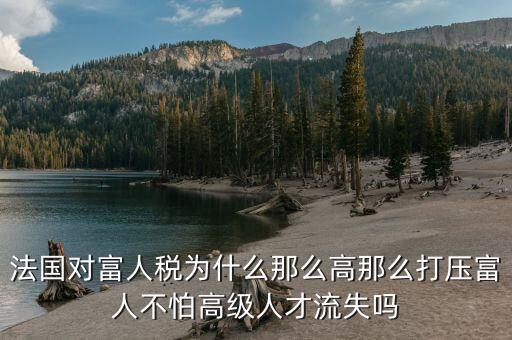法國對(duì)富人稅為什么那么高那么打壓富人不怕高級(jí)人才流失嗎