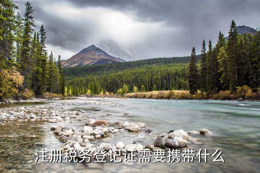 登記稅務需要帶什么資料，公司注冊稅務登記需要哪些資料