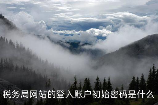廣東國稅網(wǎng)登錄密碼是什么意思，稅務(wù)局網(wǎng)站的登入賬戶初始密碼是什么