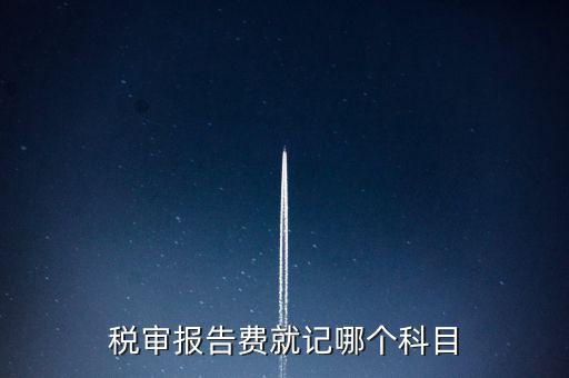稅審費(fèi)計(jì)入什么科目，稅審費(fèi)屬于哪個(gè)科目