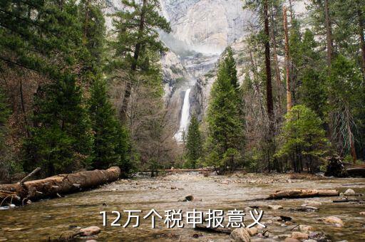 12萬為什么個稅申報表，12萬以上個人所得稅申報是什么意思
