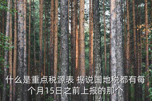 稅源監(jiān)控表是什么，股東股權(quán)變更稅源監(jiān)控登記表怎么填寫