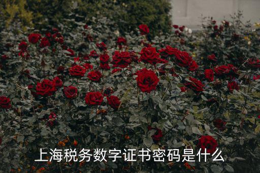 稅務(wù)數(shù)字證書密碼是什么，稅務(wù)密鑰是什么東西是數(shù)字證書嗎