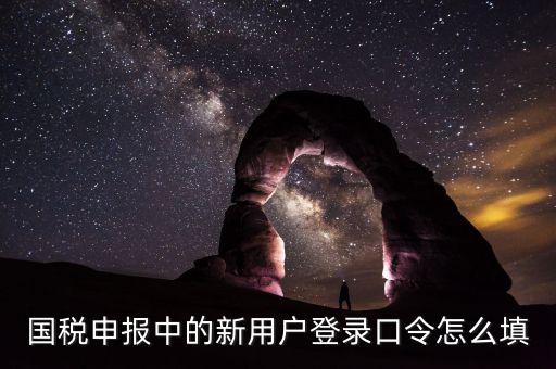 國(guó)稅用戶口令是什么，我想問(wèn)下國(guó)家稅務(wù)網(wǎng)上申報(bào)點(diǎn)擊安全登錄時(shí)出現(xiàn)的用戶口令是什么
