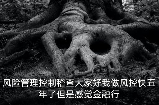 稽查風(fēng)險(xiǎn)管控是什么意思，股票中1風(fēng)險(xiǎn)提示 違規(guī)稽查是什么意思
