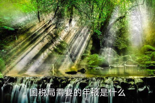 什么是稅務(wù)局年報(bào)，國(guó)稅局需要的年報(bào)是什么