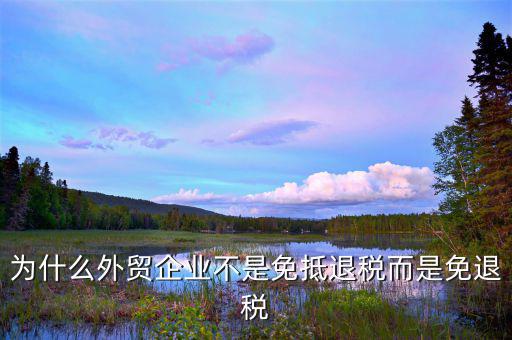 外貿(mào)企業(yè)為什么不適用免抵退，什么是免退稅它和免抵退稅的區(qū)別它為什么不能抵呢