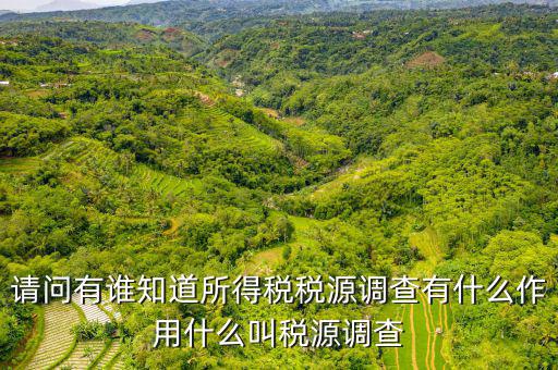 稅源調(diào)查是什么，稅源調(diào)查的數(shù)據(jù)是不是作為交稅的依據(jù)