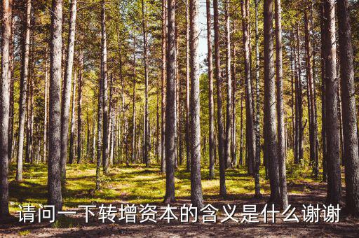 什么是利潤(rùn)轉(zhuǎn)增資，什么叫轉(zhuǎn)增資本通俗一點(diǎn)越白話(huà)越好