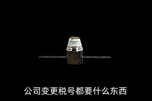 什么情況下變更稅號，公司變更稅號都要什么東西