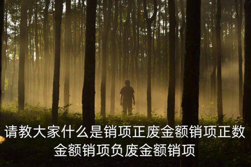 請(qǐng)教大家什么是銷(xiāo)項(xiàng)正廢金額銷(xiāo)項(xiàng)正數(shù)金額銷(xiāo)項(xiàng)負(fù)廢金額銷(xiāo)項(xiàng)