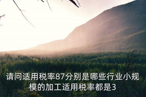 什么叫適用稅率，稅率是什么