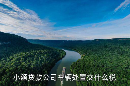 車(chē)貸行業(yè)需要交什么稅，小額貸款公司車(chē)輛處置交什么稅