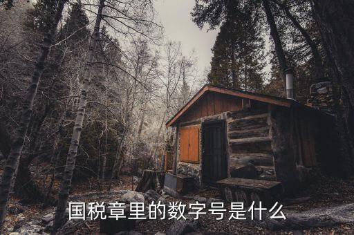 發(fā)票章中間數(shù)字是什么，國稅章里的數(shù)字號是什么