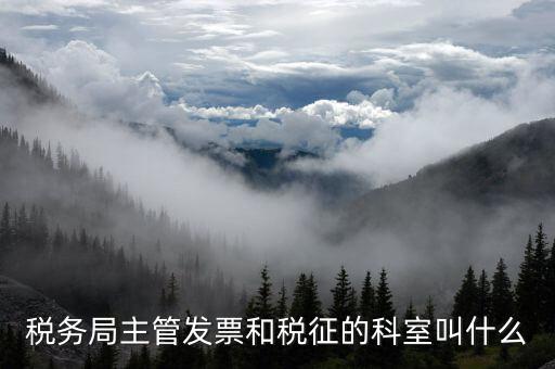 國稅稅務(wù)局都有什么科，稅務(wù)局主管發(fā)票和稅征的科室叫什么