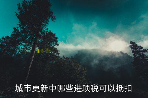 什么進項票可以抵扣，哪些發(fā)票能抵進項稅