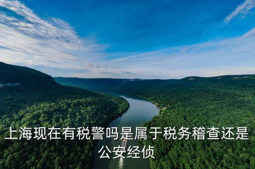 稅警機制辦公室干什么，上海現(xiàn)在有稅警嗎是屬于稅務(wù)稽查還是公安經(jīng)偵