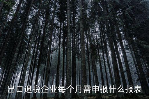 出口退稅每月需做什么申報，外貿(mào)企業(yè)第一次申報出口退稅需要準備哪些資料