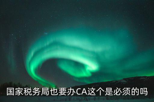 國稅ca是什么意思，短信提示我使用的國稅ca過期了什么個意思