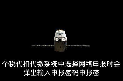 個稅申報密碼是什么意思，網(wǎng)上報稅 報稅密碼是什么