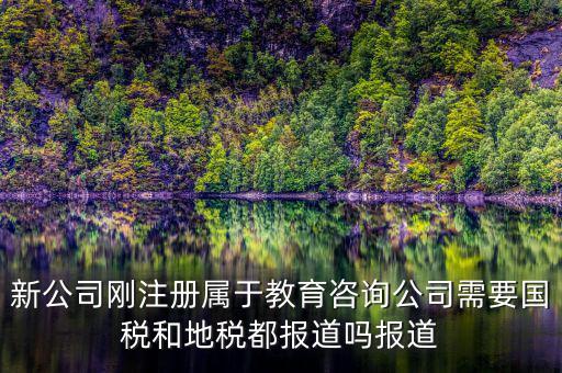 教育咨詢納什么稅，請(qǐng)問從教育事業(yè)的公司要納稅嗎