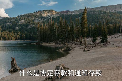 協(xié)定所得項(xiàng)目是什么，CF玩家協(xié)定是什么