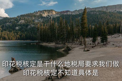 印花稅核定依據(jù)填什么意思，核定征收印花稅計稅依據(jù)