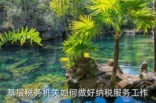 納稅服務是指什么，納稅服務的三個主體是什么