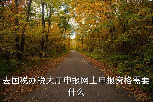 國(guó)稅網(wǎng)上申報(bào)用什么資料，去國(guó)稅辦稅大廳申報(bào)網(wǎng)上申報(bào)資格需要什么