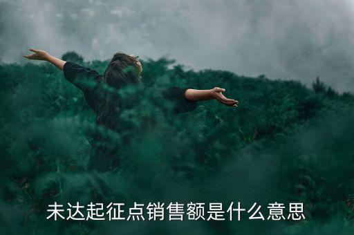 未達(dá)起征點通知書什么意思，打印稅務(wù)事項通知書未達(dá)起征點通知需要什么材料