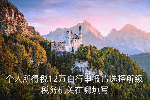 個人所得稅12萬自行申報(bào)請選擇所級稅務(wù)機(jī)關(guān)在哪填寫