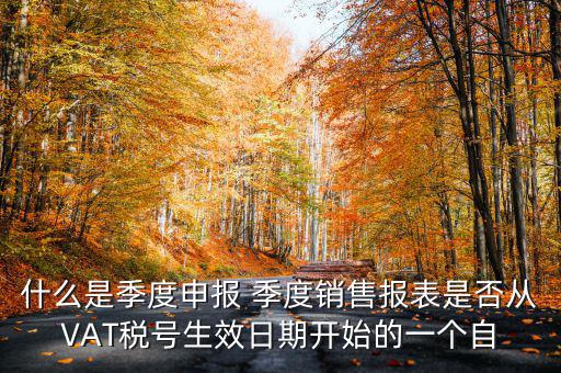 什么是季度申報(bào)表，有關(guān)企業(yè)申報(bào)的季度報(bào)表