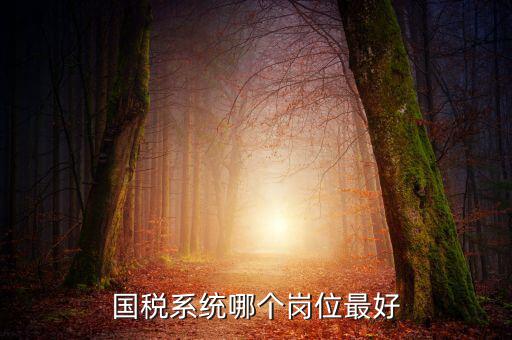 國稅局什么崗位好，國稅局哪個(gè)崗位比較好