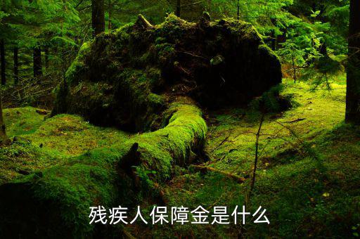 什么叫殘疾人就業(yè)保障金，殘疾人就業(yè)保障金