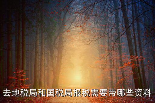 國稅報稅需要什么材料，去地稅局和國稅局報稅需要帶哪些資料