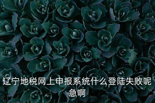 遼寧網(wǎng)上報(bào)稅為什么進(jìn)不去，遼寧地稅網(wǎng)上申報(bào)系統(tǒng)什么登陸失敗呢急啊