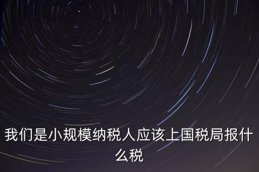 小規(guī)模要報(bào)什么稅，我想問問小規(guī)模納稅人報(bào)稅需要報(bào)些什么