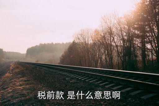 什么是稅前項(xiàng)目費(fèi)，稅前款 是什么意思啊