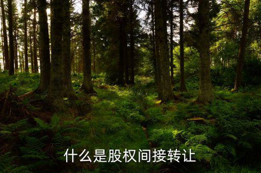 什么是股權間接轉讓，什么是股權間接轉讓
