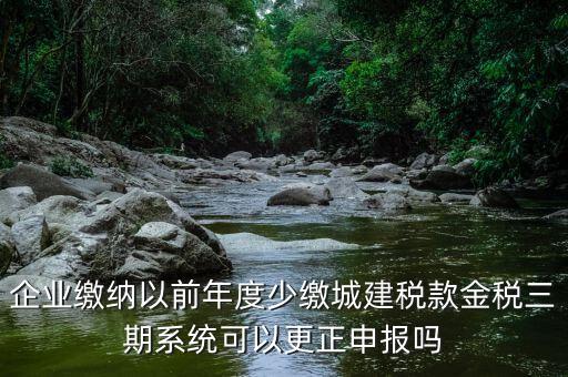 金稅三期更正申報(bào)需要什么資料，企業(yè)繳納以前年度少繳城建稅款金稅三期系統(tǒng)可以更正申報(bào)嗎