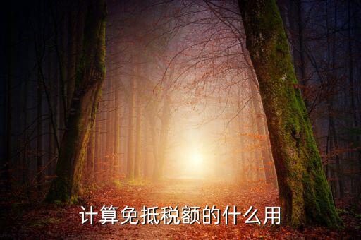 免抵稅額有什么用，出口退稅中的免抵稅額和免抵退稅額是什么意思進項稅額用于抵內