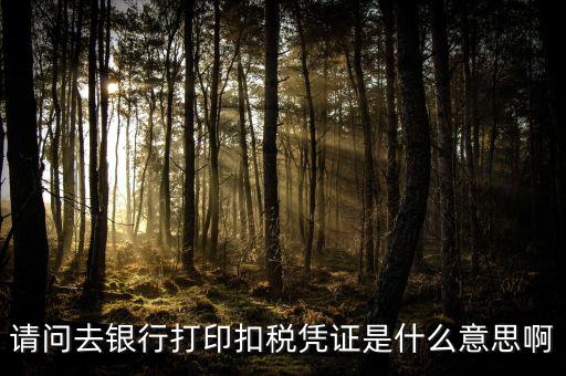 稅收憑證是什么，什么是完稅憑證啊