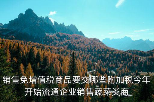 免稅商品銷售要交什么稅，銷售免增值稅商品要交哪些附加稅今年開始流通企業(yè)銷售蔬菜類商