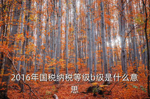 納稅信用等級評 什么用，企業(yè)納稅信用等級有何用處