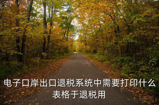 福建退稅備案的表格是什么樣的，出口退稅資格認(rèn)定表