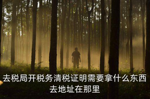 開清稅證明需要帶什么材料，各位親誰知道去國稅局開清稅證明需要帶什么